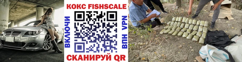 КОКАИН Fish Scale  Гусиноозёрск 