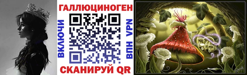 площадка формула  Гусиноозёрск  Псилоцибиновые грибы GOLDEN TEACHER  цены  