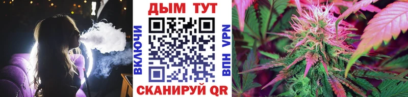 shop как зайти  где найти наркотики  Гусиноозёрск  Конопля семена 